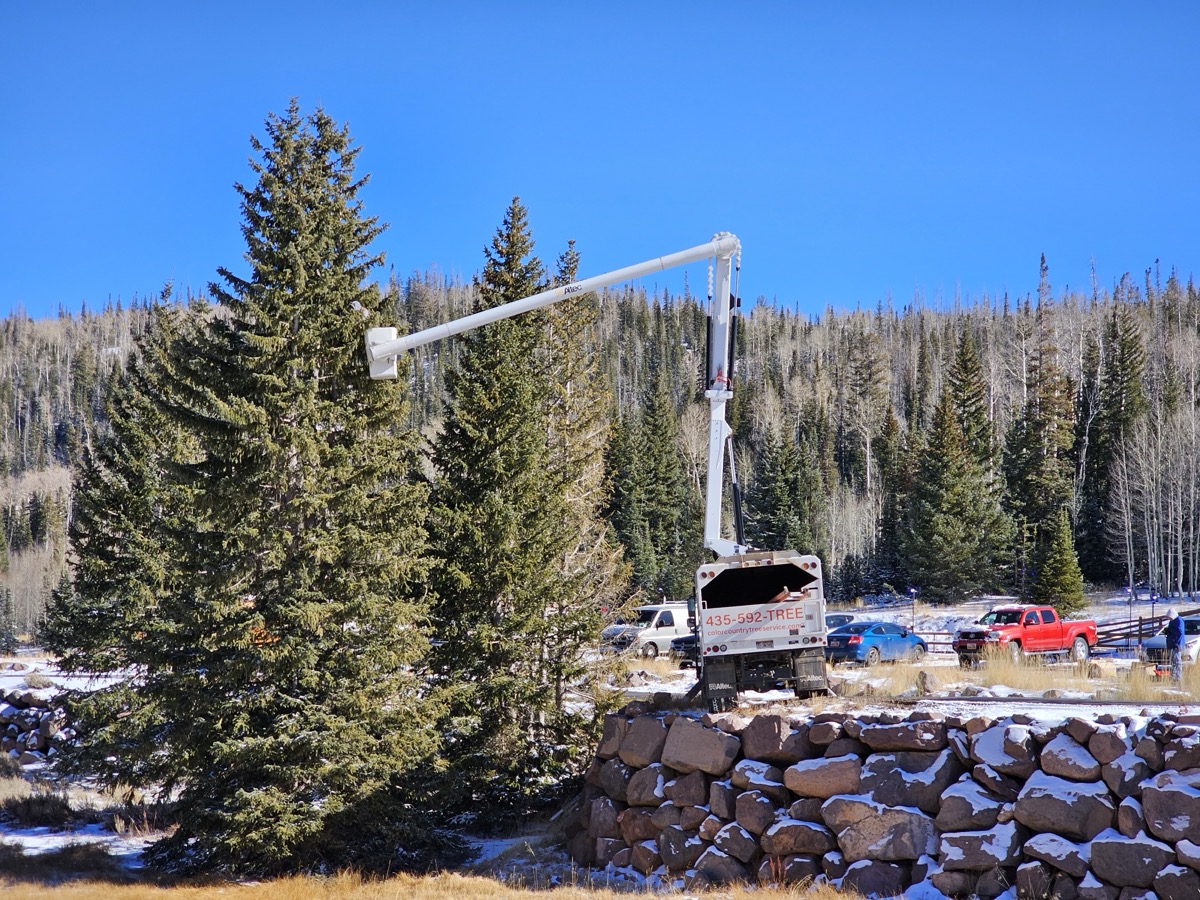 Color Country Tree Service Llc equipment