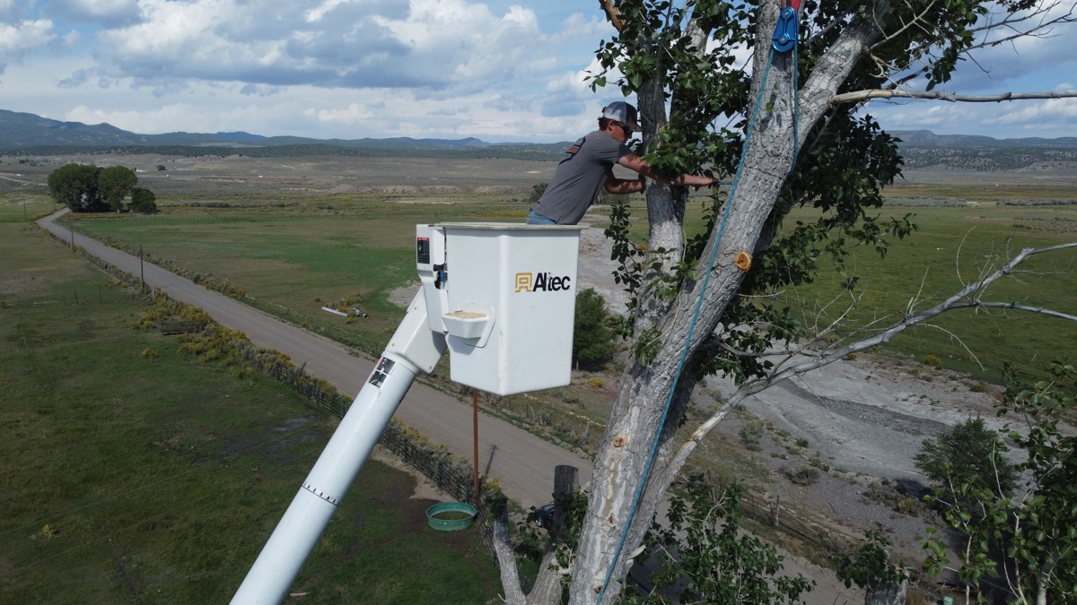 Color Country Tree Service Llc equipment