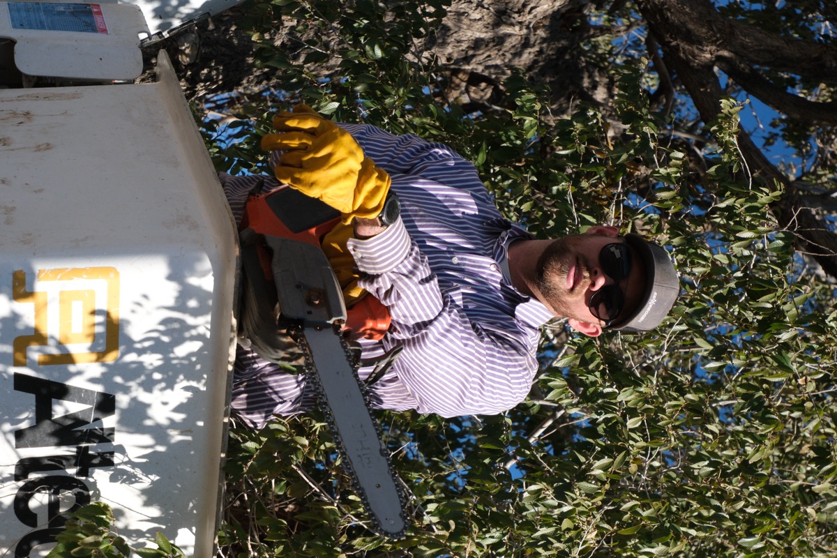 Color Country Tree Service Llc equipment
