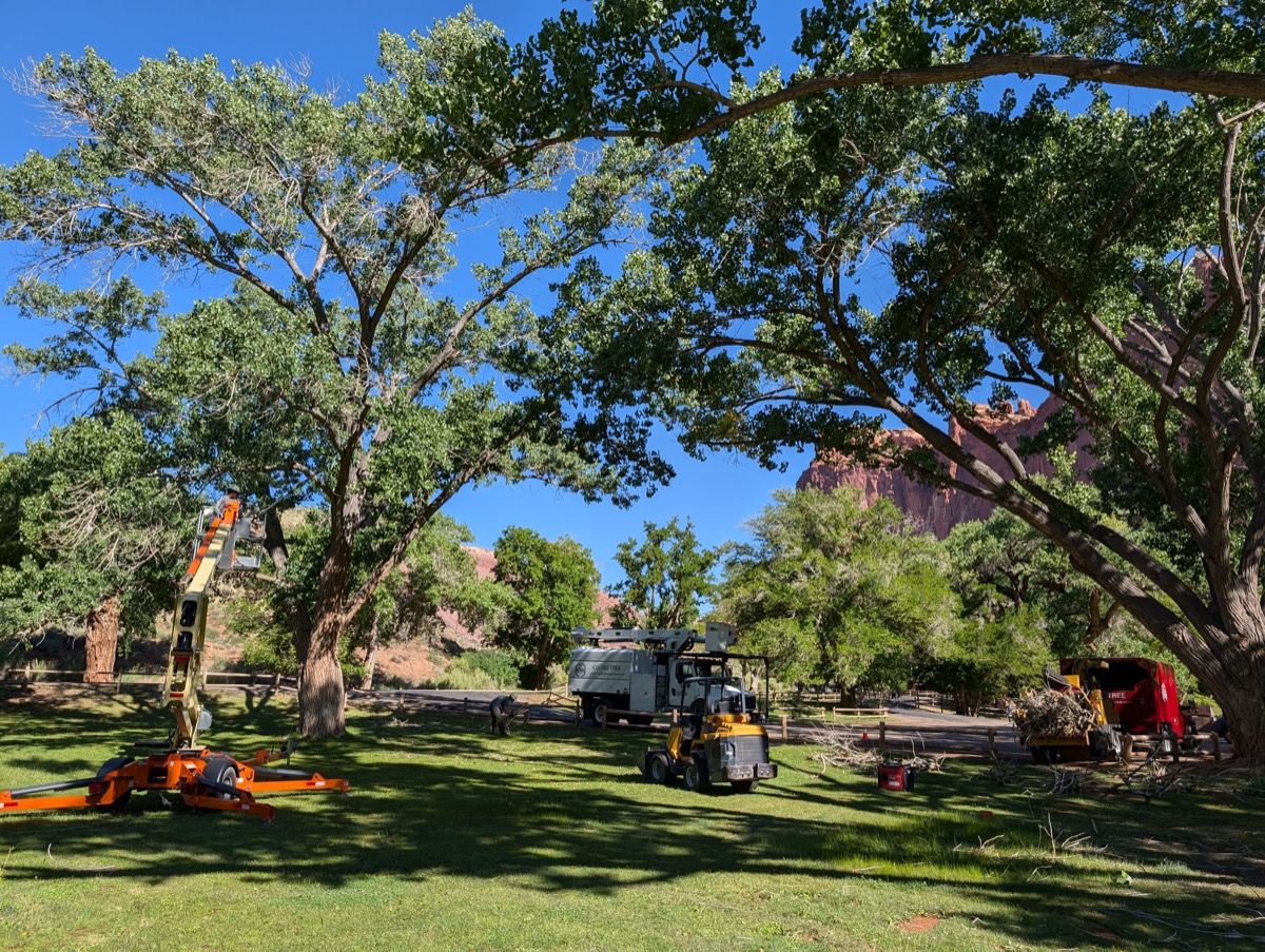 Color Country Tree Service Llc equipment